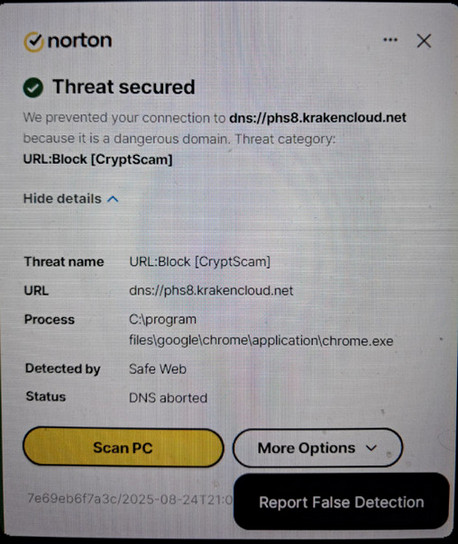 Safe Web keeps reporting that svchost.exe is trying to