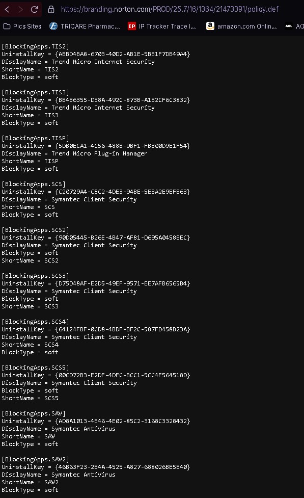 norton family def query 2